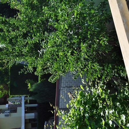 Dacha V Arkadii Hotel Odessa Exterior foto